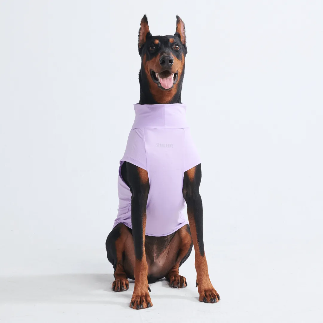 Sunblock Dog T-Shirts