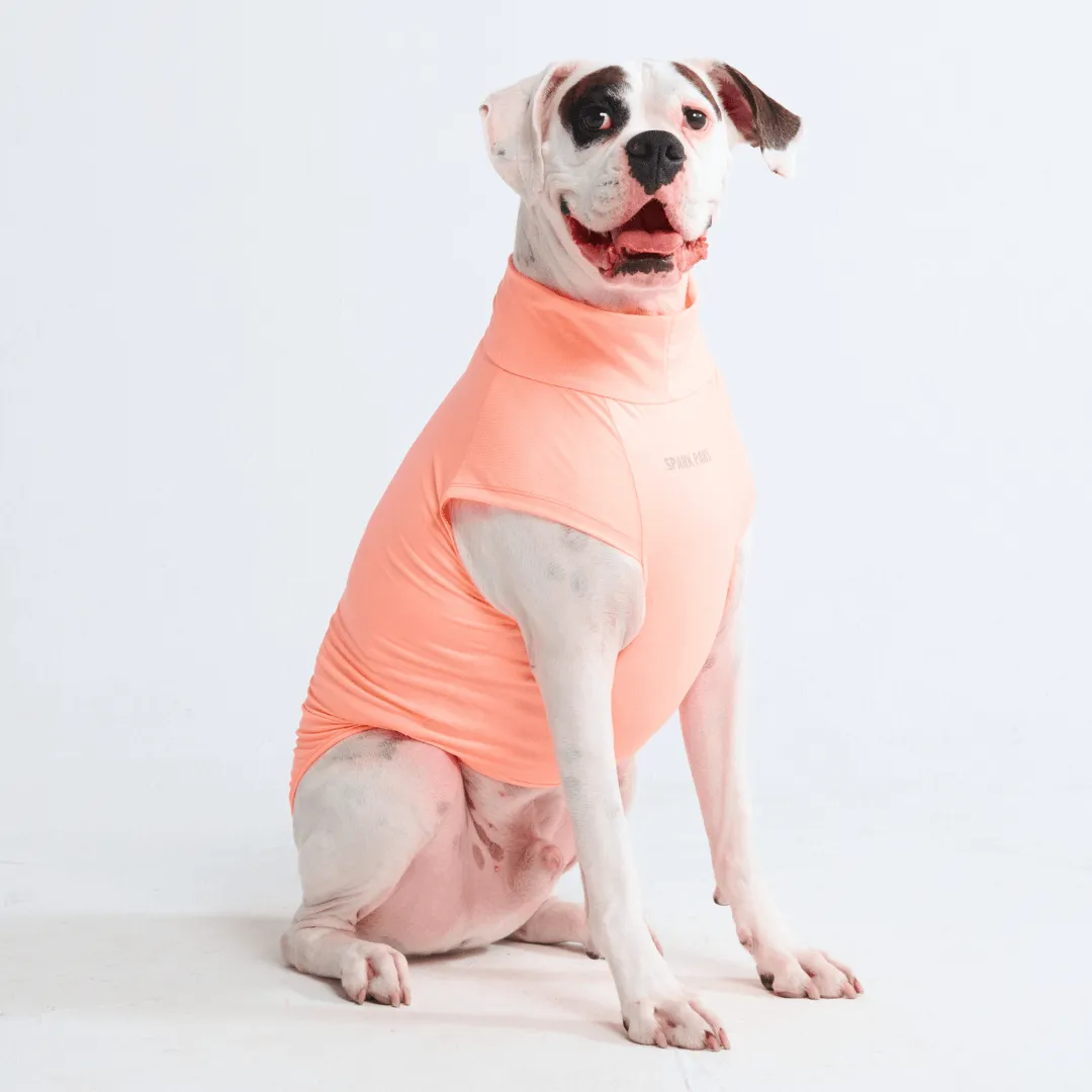 Sunblock Dog T-Shirts