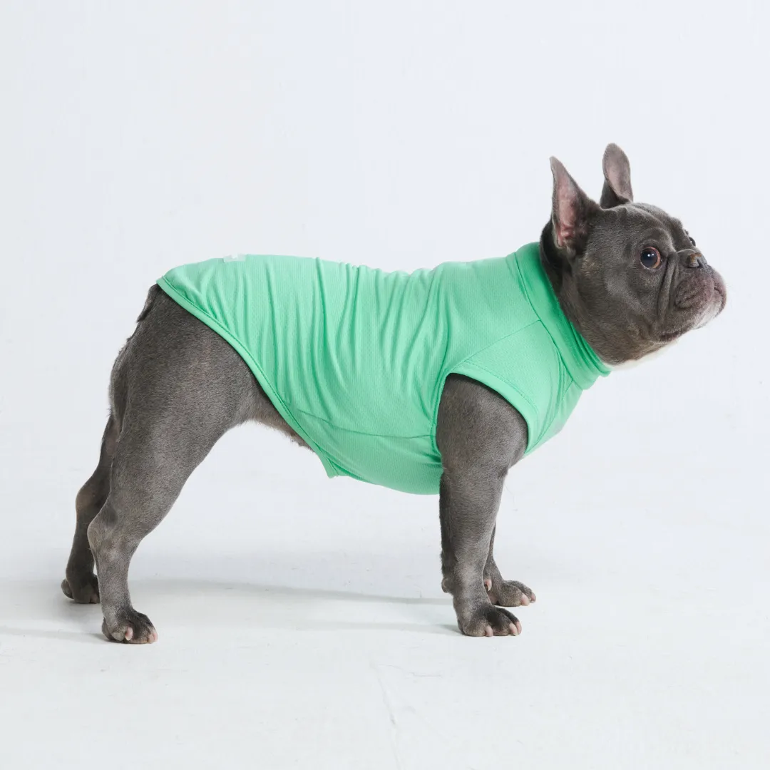 Sunblock Dog T-Shirts