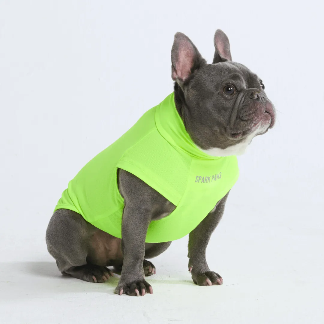 Sunblock Dog T-Shirts