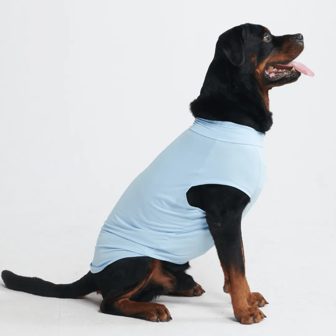 Sunblock Dog T-Shirts