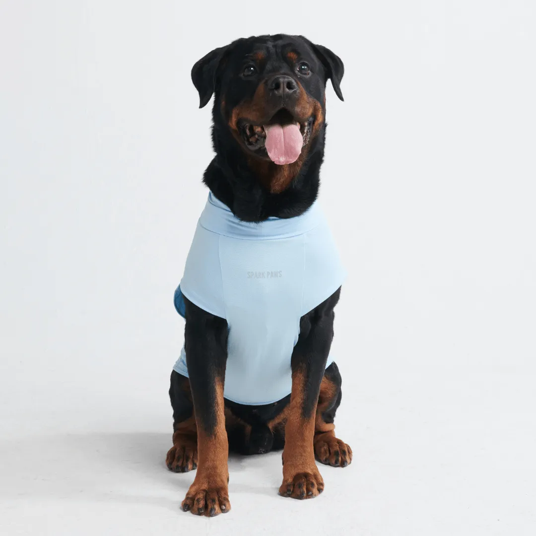 Sunblock Dog T-Shirts